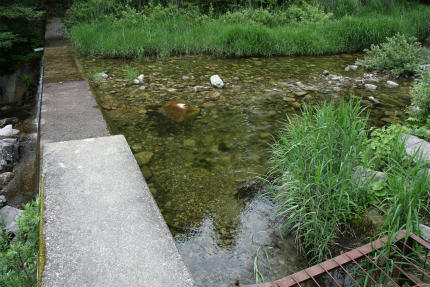 20100614_1.jpg
