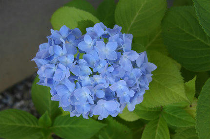 20100616_2.jpg