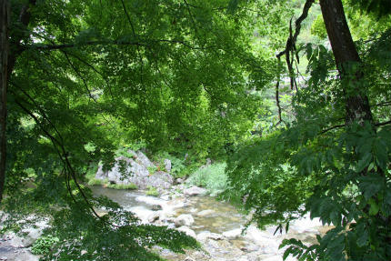 20100618_2.jpg