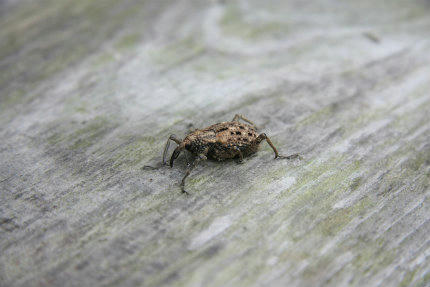 20100620.jpg