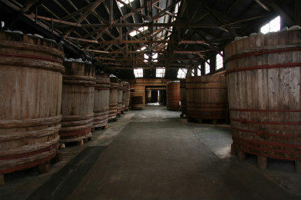 20100623_2.jpg