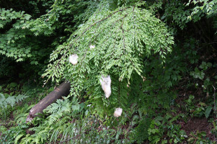20100626_1.jpg