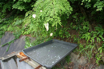 20100626_4.jpg