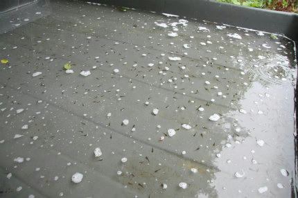 20100626_5.jpg