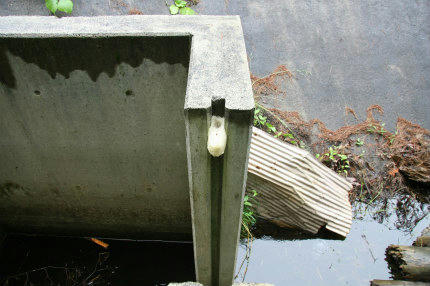 20100626_7.jpg