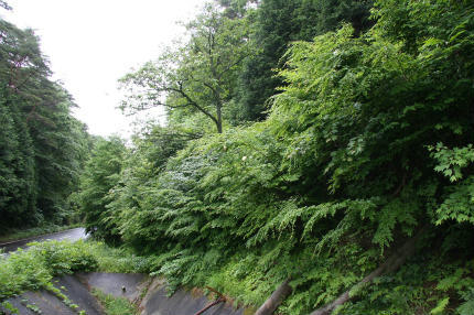 20100626_8.jpg