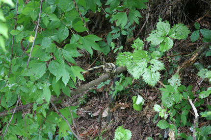 20100626_10.jpg