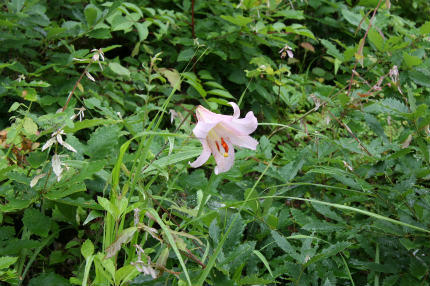 20100626_12.jpg