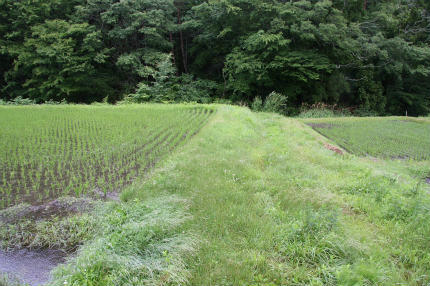 20100626_16.jpg