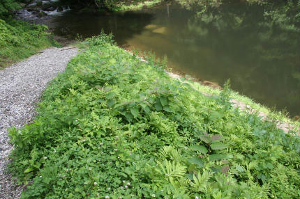 20100628_1.jpg