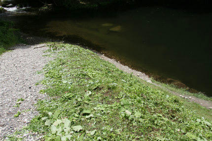 20100628_2.jpg