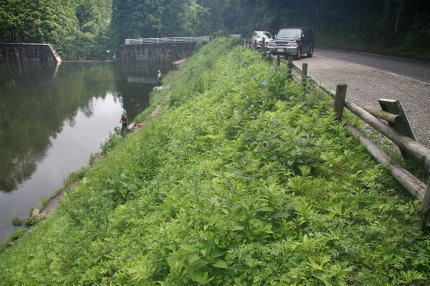 20100628_3.jpg