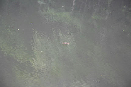 20100629.jpg