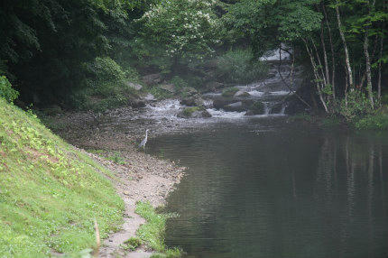 20100712_1.jpg