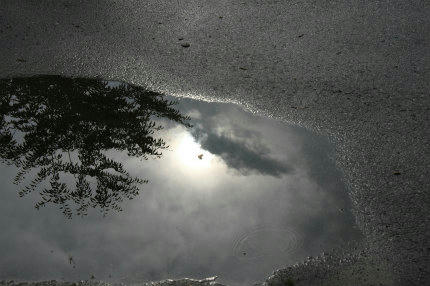 20100712_2.jpg