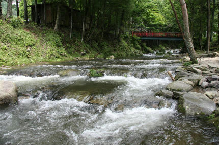 20100715_1.jpg