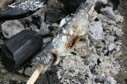20100715_10.jpg