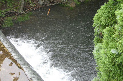 20100716_2.jpg