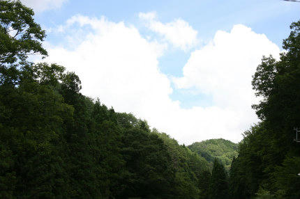 20100717_1.jpg