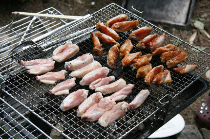 20100717_4.jpg