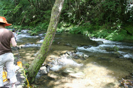 20100717_7.jpg