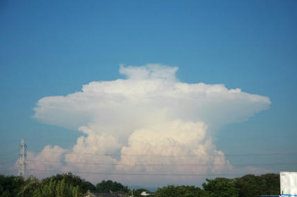 20100723_3.jpg