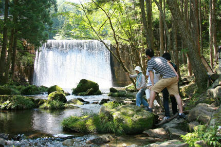 20100724_6.jpg