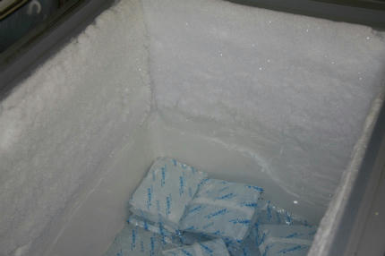 20100725_2.jpg