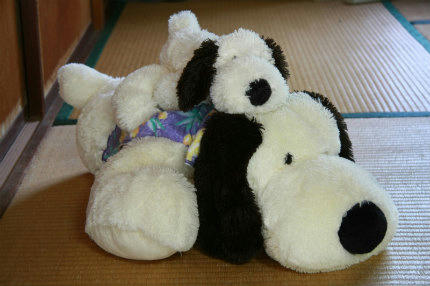 20100726_1.jpg