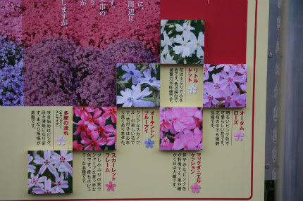 20100730_3.jpg