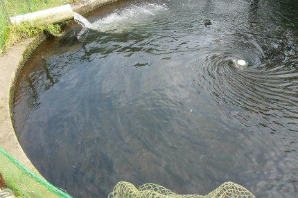 20100801_1.jpg