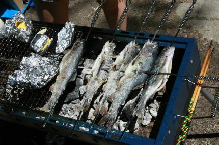 20100803_16.jpg