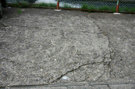 20100807_2.jpg