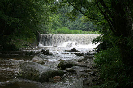 20100812_1.jpg