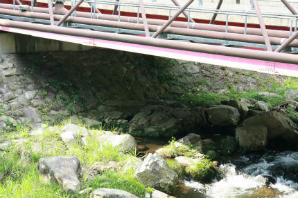 20100818_1.jpg