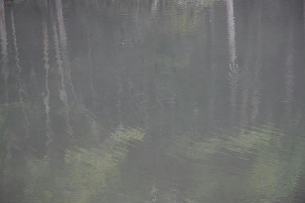 20100818_4.jpg