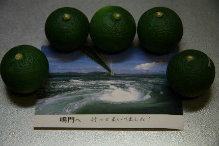 20100820_2.jpg