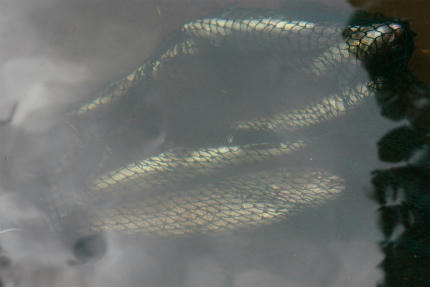 20100828_2.jpg