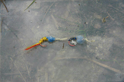 20100828_3.jpg