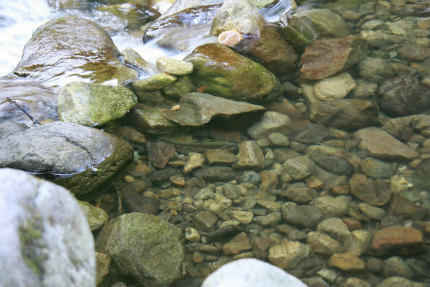 20100903_2.jpg