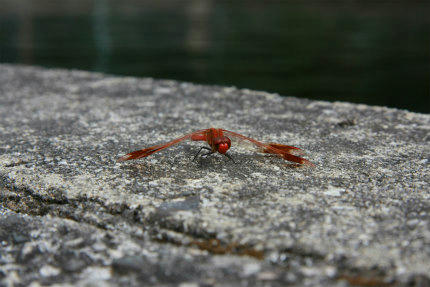 20100920_1.jpg