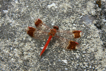 20100920_3.jpg