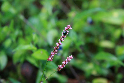 20100923_2.jpg
