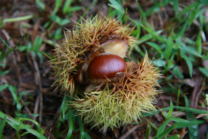 20100923_4.jpg