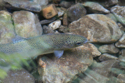 20100925_5.jpg