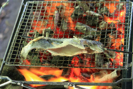 20100925_8.jpg