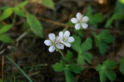 20100926_1.jpg