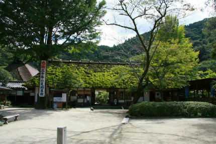 20100927_2.jpg