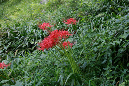 20100927_7.jpg