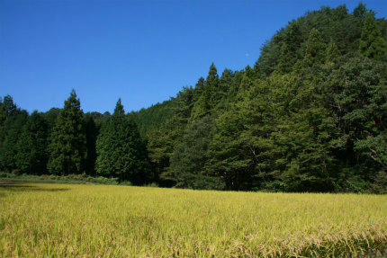 20100929_2.jpg